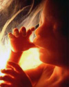 Bővebben: Egy abortusz legszörnyűbb felvételei!