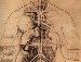 Bővebben: Leonardo da Vinci rajzai ihlették a virtuális szívmodellt
