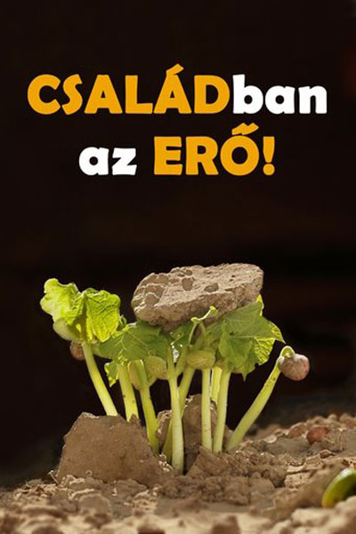 Családban az erő