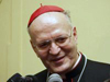 Bővebben: Erdő Péter bíboros a püspöki szinódusról