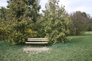 Budai Arborétum