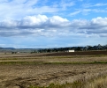 P1010493