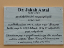 Dr. Jakab Antal-tér avatás Ditróban