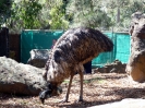 Sydney-i állatkertben