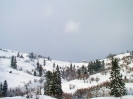 Téli képek - Erdély,2008.jan.