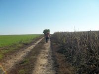 Bővebben: Mindennapi kenyerünket Isten kirendeli!!