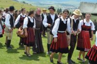 Bővebben: A gyökerek életet adnak!!