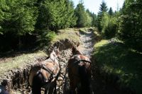 Bővebben: Nagyböjti igaz gondolatok! 