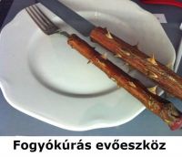 Bővebben: Testi böjt!