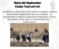 Bővebben: Csodálom az életet!