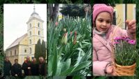 Bővebben: Imádságos szeretettel kívánunk áldott húsvéti ünnepet!