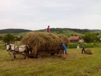 Bővebben: Takarás