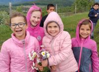 Bővebben: Balatoni Csillagösvény 2026-os programja