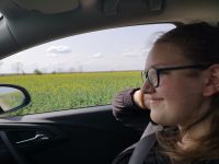 Bővebben: Útrakel