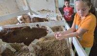 Bővebben: Egymásra figyelés