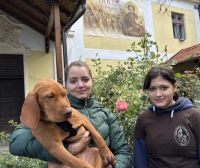 Bővebben: A Naphimnusz évében egy szép vasárnap a boldogsághoz