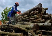 Bővebben: Beindult a fa vágó kaláka Csíksomlyón!
