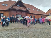 Bővebben: Istálló látogatás