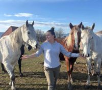 Bővebben: Ismerjétek meg csodás lovainkat!