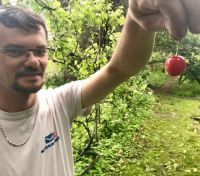Bővebben: Csíkban nyílnak a fákon a virágok, de Szászvároson már érik a cseresznye....
