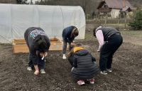 Bővebben: Vakáció a kertben