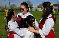 Bővebben: 2026. április 17. - Tranzitus - „Van az a kevés, ami mindenre elég