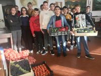 Bővebben: Friss finom gyümölcsök, zöldségek