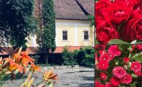 Bővebben: Csendes ima ideje