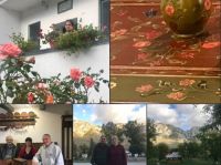 Bővebben: Melyik virág a legszebb?