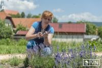 Bővebben: Mária-kert Csíksomlyón a belső békéért	