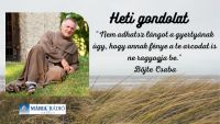 Bővebben: Láng