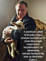 Bővebben: A kapu....