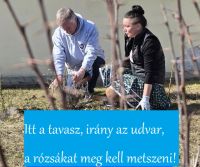Bővebben: 59. nap- Exodus 90- Tavasz van, gondozd a kertedet 