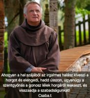 Bővebben: A lelki zarándok útunk újabb fontos állomásához érkeztünk