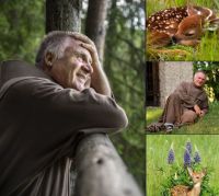 Bővebben: Az őzikék példája