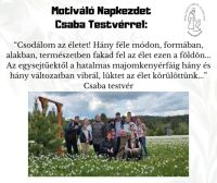 Bővebben: Csodálom az életet!