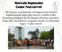 Bővebben: A búzamag