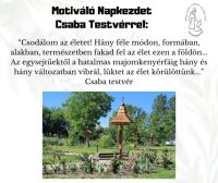 Bővebben: Csodálom az életet!