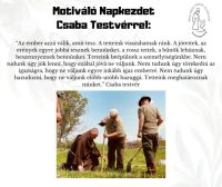 Bővebben: Tetteink