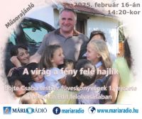 Bővebben: A virág a fény felé hajlik