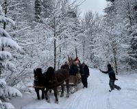 Bővebben: Jó lovas szánon utazni a havas tájon