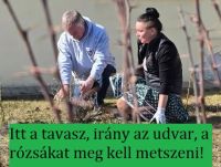 Bővebben: A hónap utolsó szombatján Máriát köszöntsük