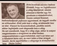 Bővebben: Derű...