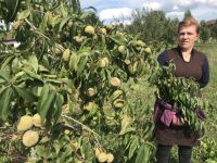 Bővebben: A Mária kert ősszel is gyönyörű