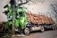 Bővebben: Mit jelent az élet? 