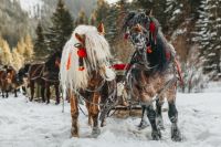 Bővebben: Farsangnak ezer arca van...
