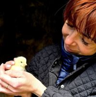 Bővebben: 2026. április 24. - Tranzitus - Ha nem eszitek az Emberfia testét, és nem isszátok az ő vérét, nem...