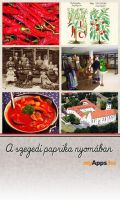 Bővebben: A szegedi paprika nyomában