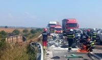 Bővebben: Nyugodjon békében!