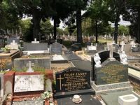 Bővebben: Sydneyben található a világ egyik legnagyobb temetője
